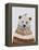 Fair Isle Bear II-Victoria Borges-Framed Stretched Canvas