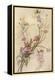 Fairies and Flowers-Warwick Goble-Framed Premier Image Canvas