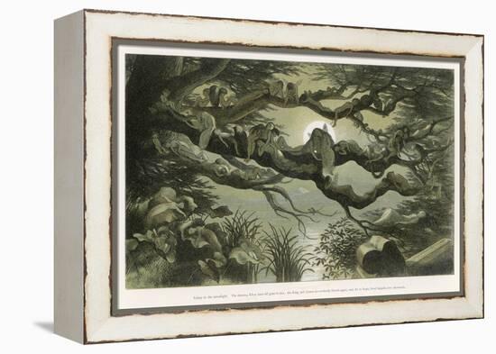 Fairies Asleep in the Moonlight-Richard Doyle-Framed Stretched Canvas