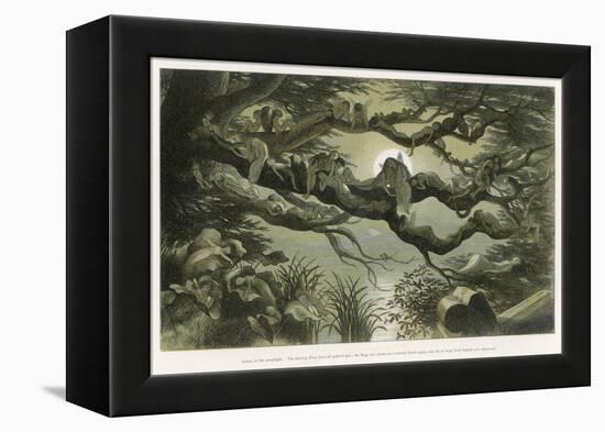 Fairies Asleep in the Moonlight-Richard Doyle-Framed Stretched Canvas
