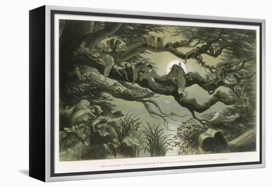 Fairies Asleep in the Moonlight-Richard Doyle-Framed Stretched Canvas