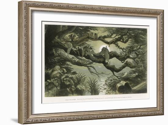 Fairies Asleep in the Moonlight-Richard Doyle-Framed Art Print
