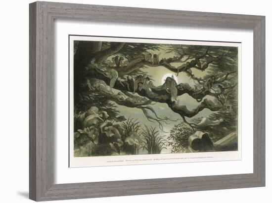 Fairies Asleep in the Moonlight-Richard Doyle-Framed Art Print