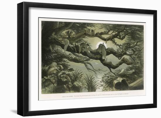 Fairies Asleep in the Moonlight-Richard Doyle-Framed Art Print