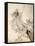 ..Fairies Away! We Shall Chide Downright, If I Longer Stay-Arthur Rackham-Framed Premier Image Canvas