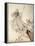 ..Fairies Away! We Shall Chide Downright, If I Longer Stay-Arthur Rackham-Framed Premier Image Canvas