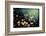 Fairies in My Garden-Incredi-Framed Photographic Print