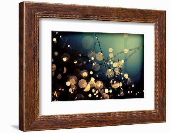 Fairies in My Garden-Incredi-Framed Photographic Print