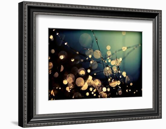 Fairies in My Garden-Incredi-Framed Photographic Print