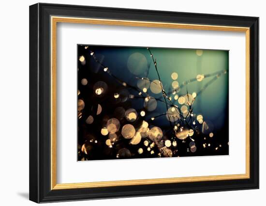 Fairies in My Garden-Incredi-Framed Photographic Print