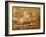 Fairies on a Shell (W/C)-Sir Joseph Noel Paton-Framed Giclee Print