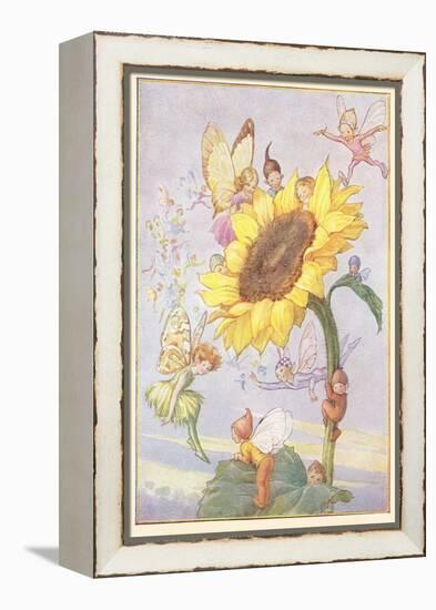 Fairies with Sunflower-null-Framed Stretched Canvas