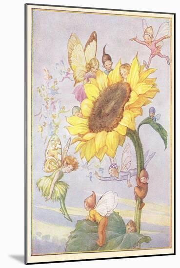 Art Print, , large