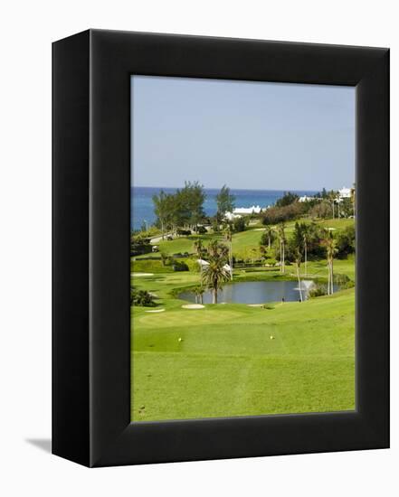 Fairmont Southampton Hotel and Golf Club, Bermuda, Central America-Michael DeFreitas-Framed Premier Image Canvas