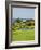 Fairmont Southampton Hotel and Golf Club, Bermuda, Central America-Michael DeFreitas-Framed Photographic Print