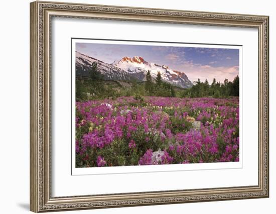 Fairweather Range II-Donald Paulson-Framed Giclee Print