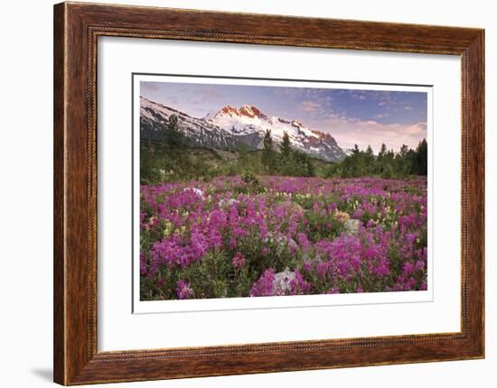 Fairweather Range II-Donald Paulson-Framed Giclee Print