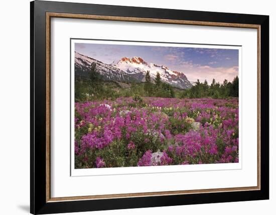 Fairweather Range II-Donald Paulson-Framed Giclee Print