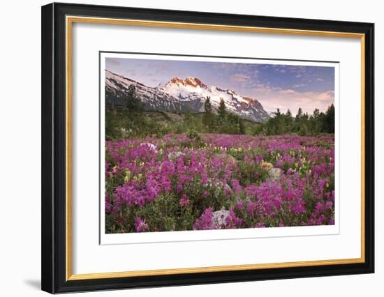 Fairweather Range II-Donald Paulson-Framed Giclee Print