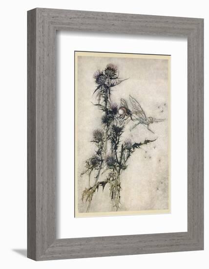 Fairy and Bee-Arthur Rackham-Framed Photographic Print