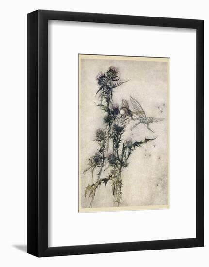 Fairy and Bee-Arthur Rackham-Framed Photographic Print