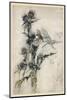 Fairy and Bee-Arthur Rackham-Mounted Photographic Print