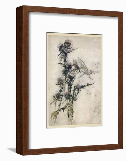 Fairy and Bee-Arthur Rackham-Framed Photographic Print