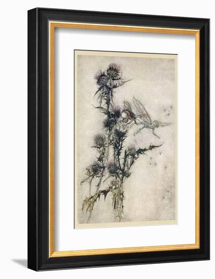 Fairy and Bee-Arthur Rackham-Framed Photographic Print