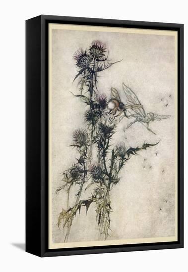 Fairy and Bee-Arthur Rackham-Framed Premier Image Canvas