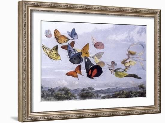 Fairy Butterflies 1-Vintage Apple Collection-Framed Giclee Print