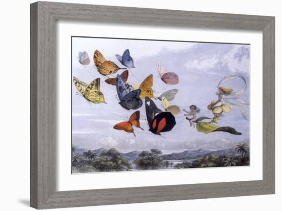 Fairy Butterflies 1-Vintage Apple Collection-Framed Giclee Print