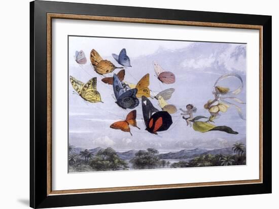 Fairy Butterflies 1-Vintage Apple Collection-Framed Giclee Print