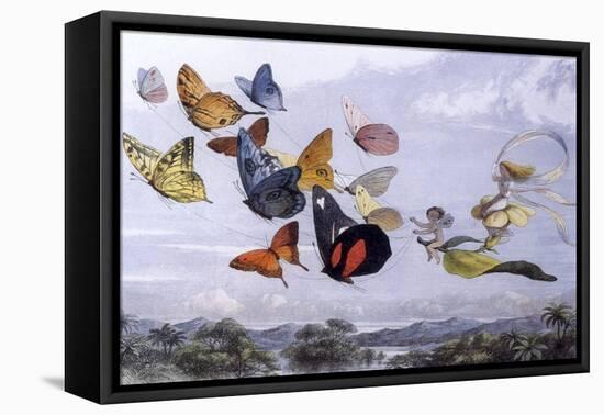 Fairy Butterflies 1-Vintage Apple Collection-Framed Premier Image Canvas