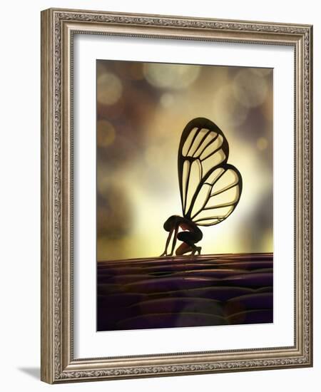 Fairy Butterfly-Mike_Kiev-Framed Art Print