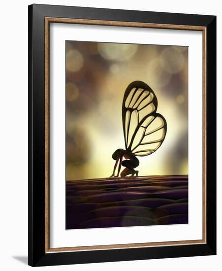 Fairy Butterfly-Mike_Kiev-Framed Art Print