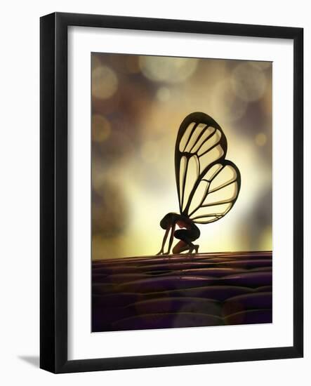 Fairy Butterfly-Mike_Kiev-Framed Art Print