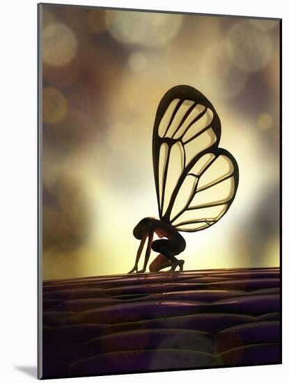 Fairy Butterfly-Mike_Kiev-Mounted Art Print