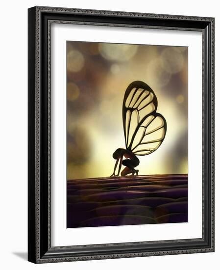 Fairy Butterfly-Mike_Kiev-Framed Art Print