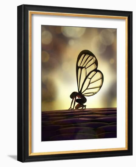 Fairy Butterfly-Mike_Kiev-Framed Art Print