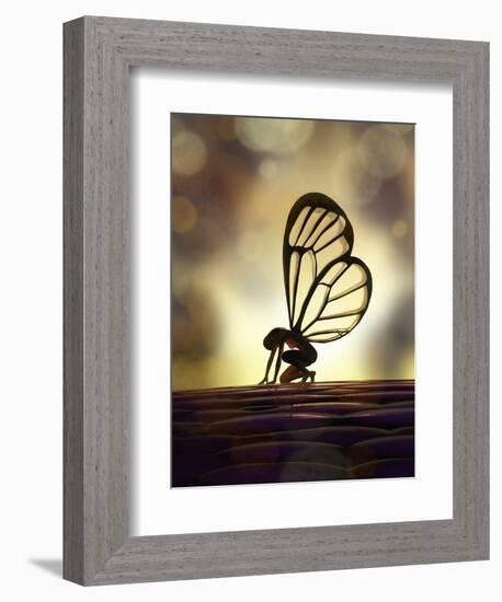 Fairy Butterfly-Mike_Kiev-Framed Art Print