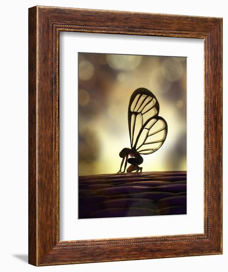 Fairy Butterfly-Mike_Kiev-Framed Art Print