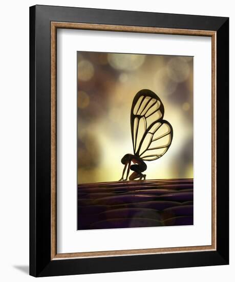 Fairy Butterfly-Mike_Kiev-Framed Art Print