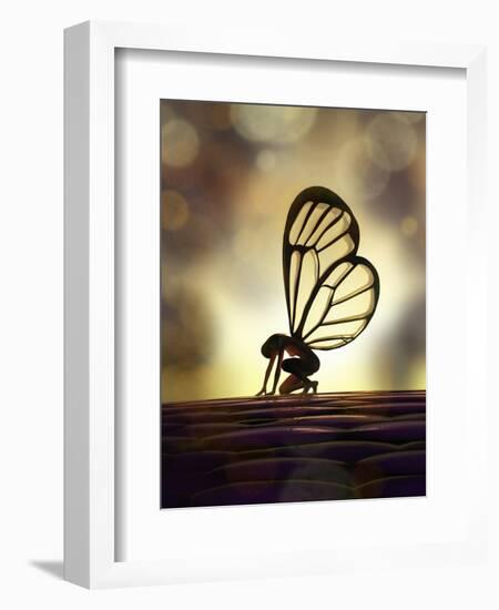 Fairy Butterfly-Mike_Kiev-Framed Art Print