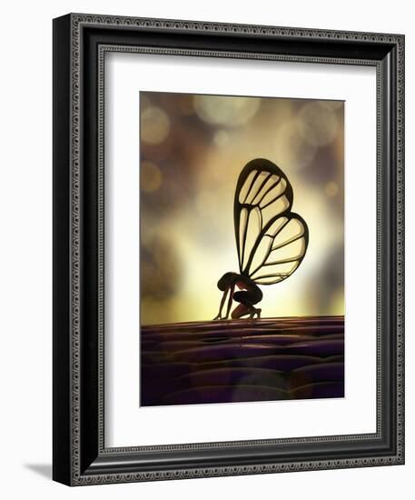 Fairy Butterfly-Mike_Kiev-Framed Art Print