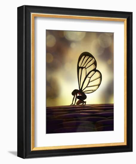 Fairy Butterfly-Mike_Kiev-Framed Art Print