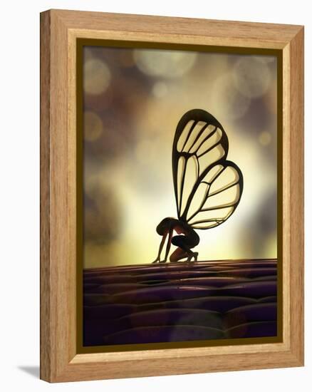 Fairy Butterfly-Mike_Kiev-Framed Stretched Canvas