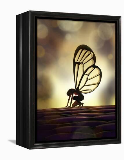 Fairy Butterfly-Mike_Kiev-Framed Stretched Canvas