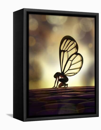 Fairy Butterfly-Mike_Kiev-Framed Stretched Canvas