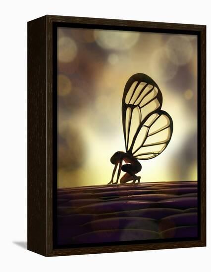 Fairy Butterfly-Mike_Kiev-Framed Stretched Canvas