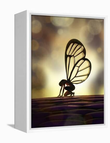 Fairy Butterfly-Mike_Kiev-Framed Stretched Canvas